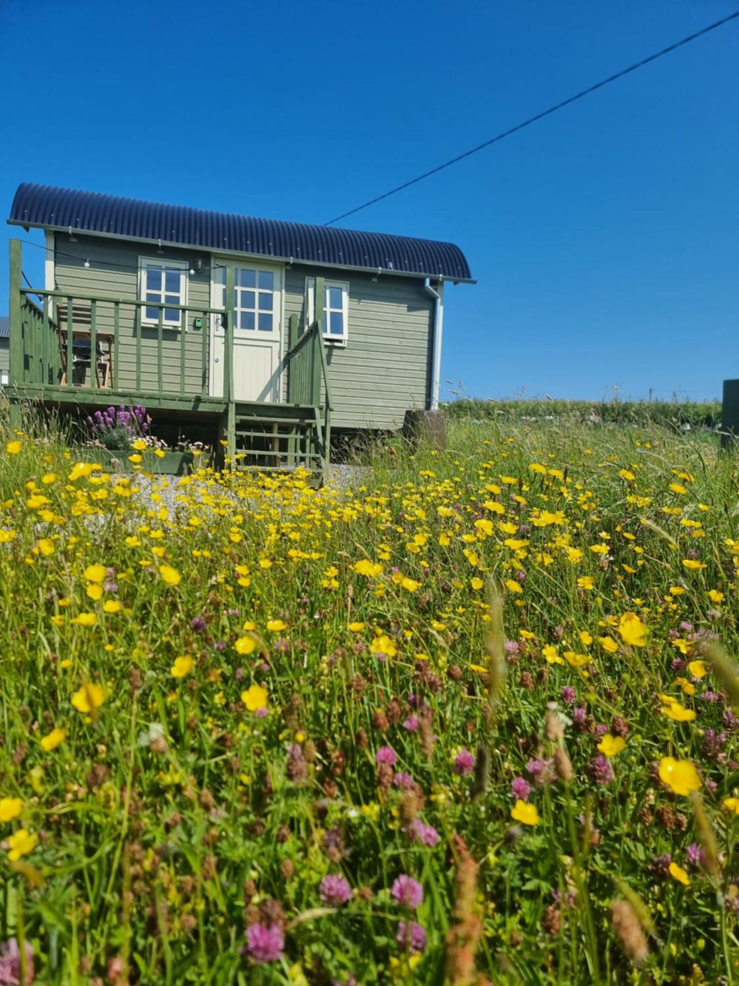 Wild Meadow Huts Villa Doolin Exterior photo