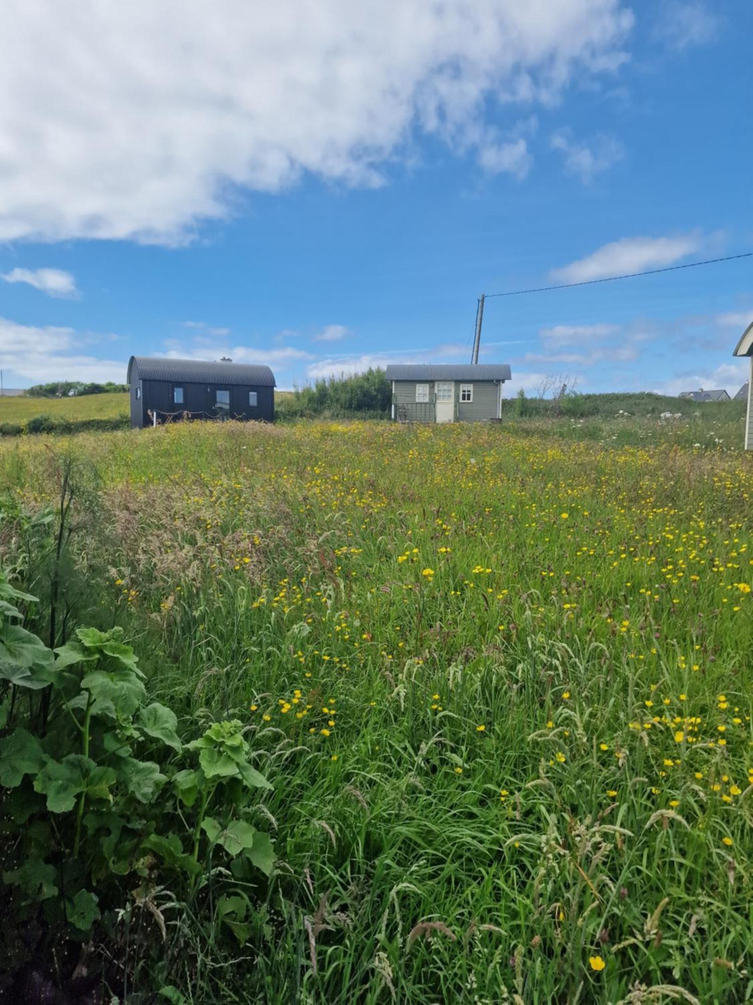 Wild Meadow Huts Villa Doolin Exterior photo