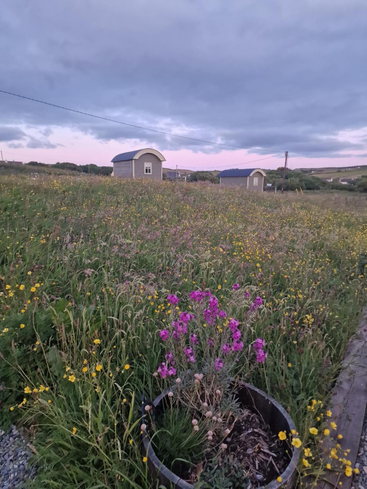 Wild Meadow Huts Villa Doolin Exterior photo